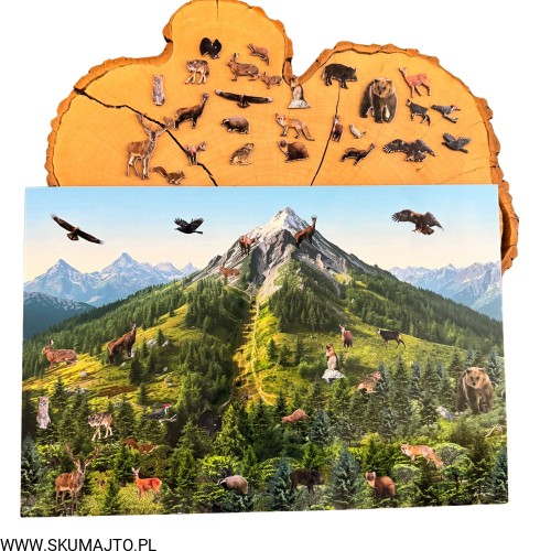 Projekt bez nazwy - 2026-02-08T120817.019.jpg