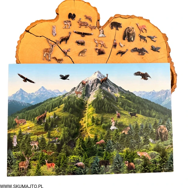 Projekt bez nazwy - 2026-02-08T120817.019.jpg