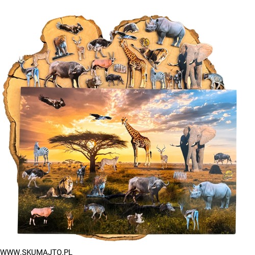 Projekt bez nazwy - 2026-02-08T120731.921.jpg