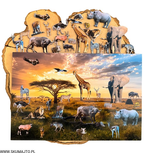 Projekt bez nazwy - 2026-02-08T120731.921.jpg