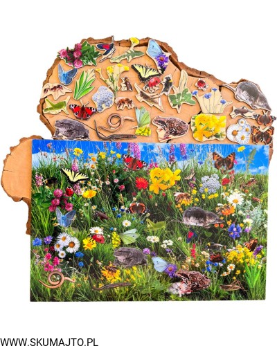 Projekt bez nazwy - 2026-04-13T111429.306.jpg