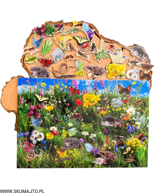 Projekt bez nazwy - 2026-04-13T111429.306.jpg