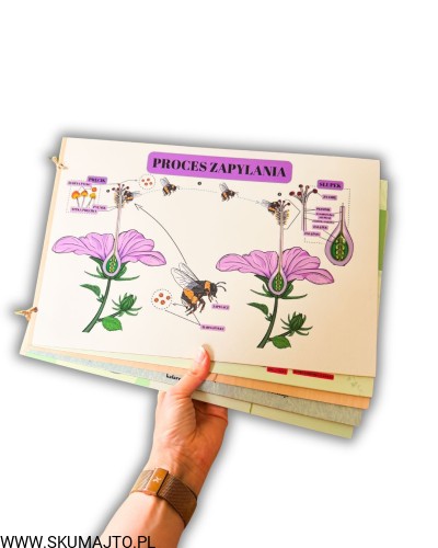 Projekt bez nazwy - 2026-04-19T151924.401.jpg