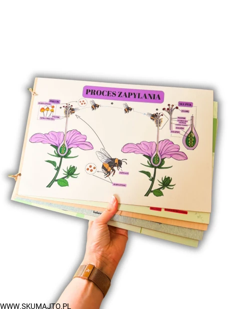 Projekt bez nazwy - 2026-04-19T151924.401.jpg