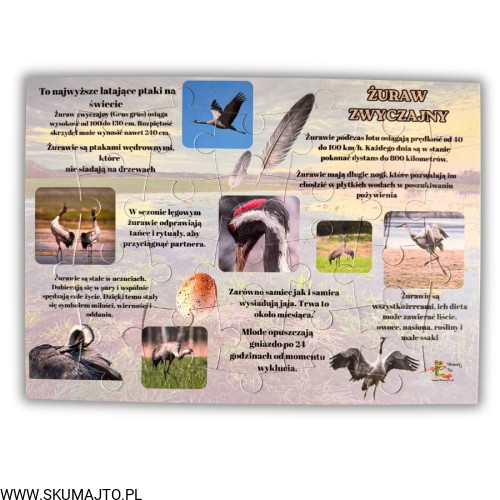 Projekt bez nazwy - 2026-04-29T172439.341.jpg