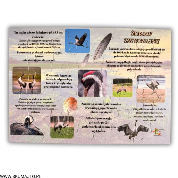 Projekt bez nazwy - 2026-04-29T172439.341.jpg