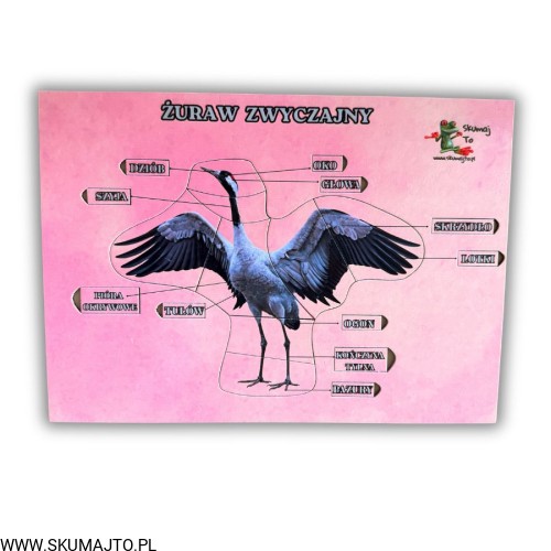 Projekt bez nazwy - 2026-04-29T172353.708.jpg