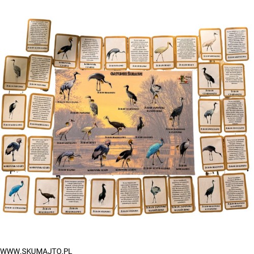 Projekt bez nazwy - 2026-04-29T171947.177.jpg