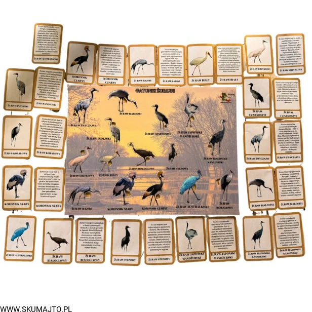 Projekt bez nazwy - 2026-04-29T171947.177.jpg