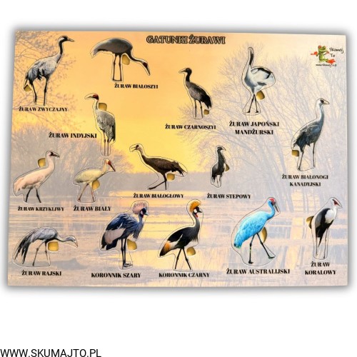 Projekt bez nazwy - 2026-04-29T172040.066.jpg