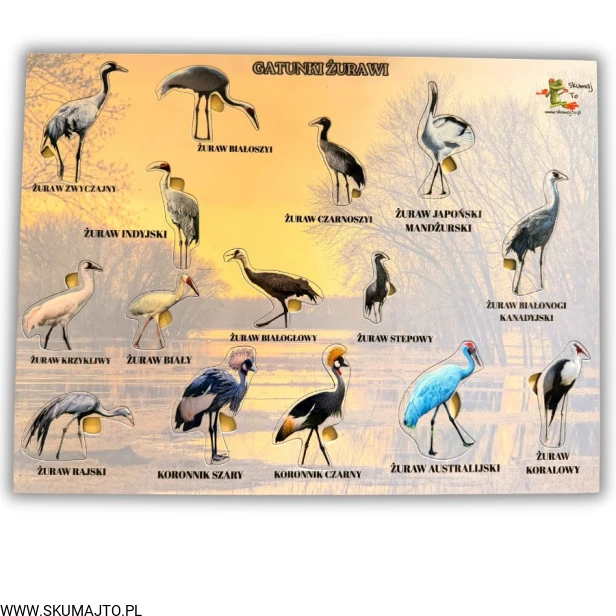 Projekt bez nazwy - 2026-04-29T172040.066.jpg