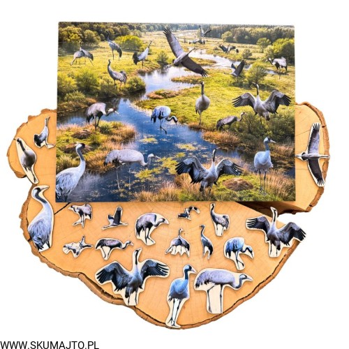 Projekt bez nazwy - 2026-04-29T172121.296.jpg