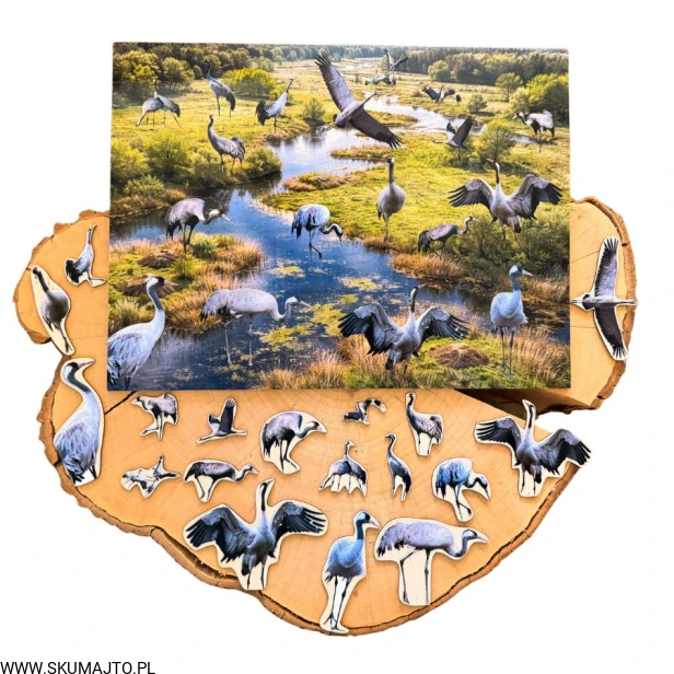 Projekt bez nazwy - 2026-04-29T172121.296.jpg