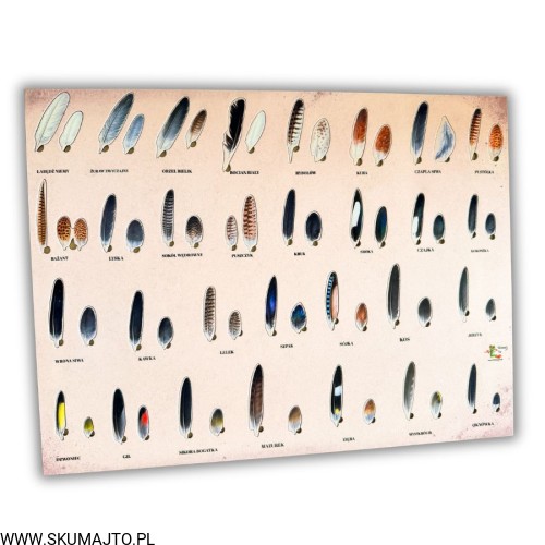 Projekt bez nazwy - 2026-04-29T173215.701.jpg