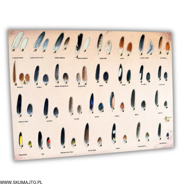 Projekt bez nazwy - 2026-04-29T173215.701.jpg