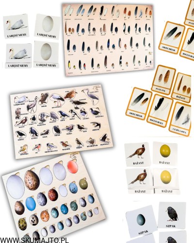 Projekt bez nazwy - 2026-04-29T171600.952.jpg