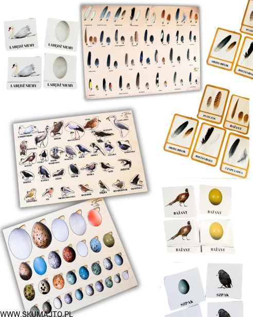 Projekt bez nazwy - 2026-04-29T171600.952.jpg