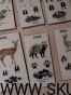 copy_A19F7382-6B2C-4C61-8D9D-A51AB3C9D9AD.jpeg