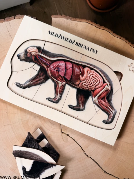 IMG_5122.JPG