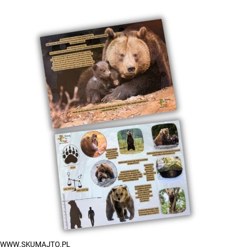 Projekt bez nazwy - 2026-05-26T114739.660.jpg