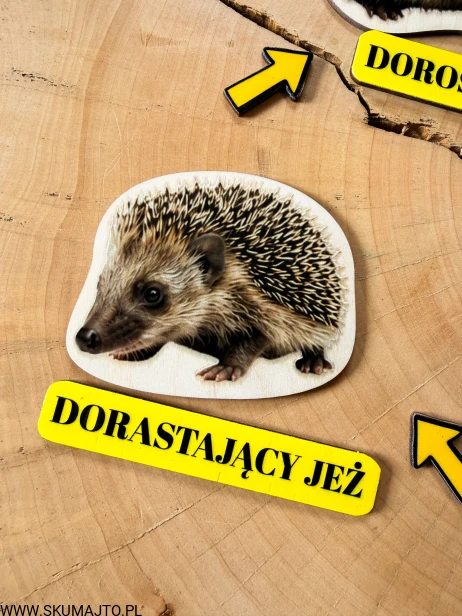 IMG_6376.JPG