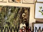 IMG_0800.JPG