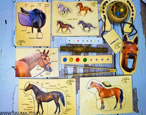 IMG_20201230_164956 (1)