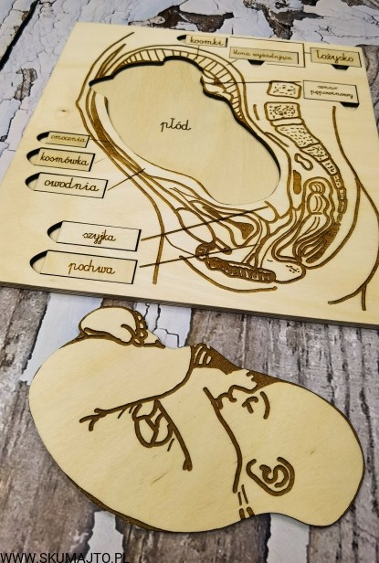 IMG_20201230_194712 (1)