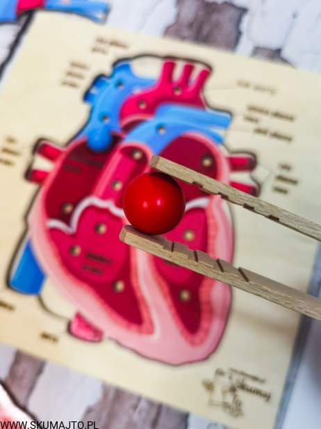 IMG_20210216_170153 (1)