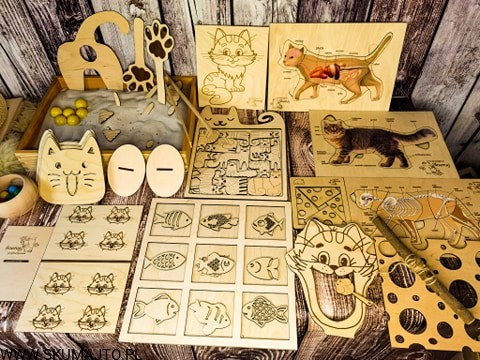 184566715_772371183467938_4138190871964888007_n