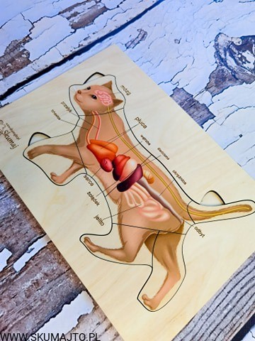 185255367_470502177587756_7117252138881559365_n