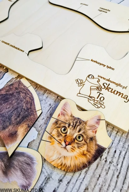 185239524_1141409909614675_8609161894329097459_n