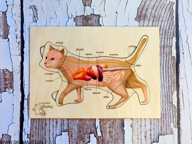 184574193_1233328993804684_40140705134302193_n