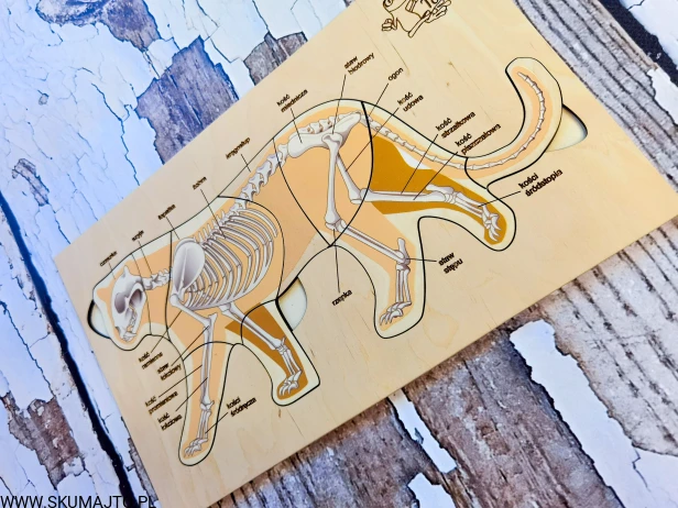 185091426_942693399802487_2767526392191950226_n