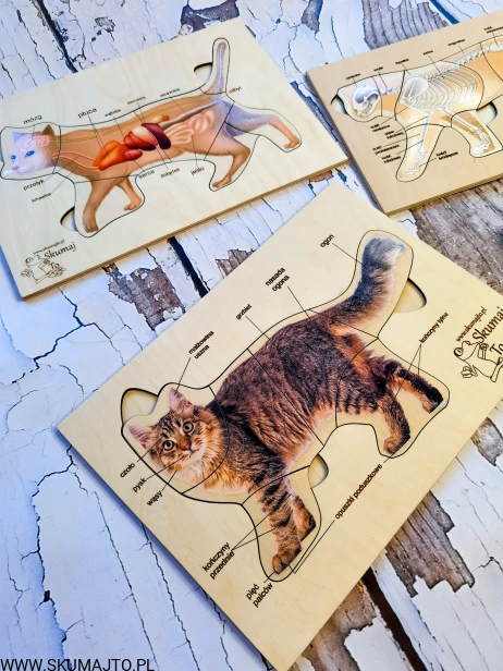 185196666_307701014133673_1206403773697617103_n