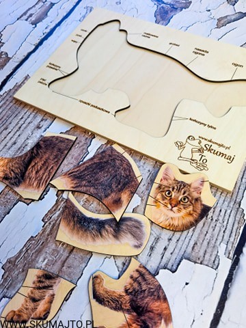 185410762_983597072471697_6557424542652590156_n