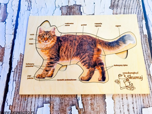 184549671_174656854542935_130305167727625012_n