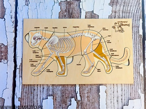 185067914_172745441317534_4720583324134692912_n