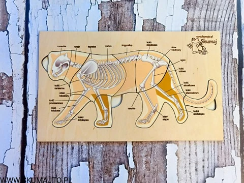 185067914_172745441317534_4720583324134692912_n