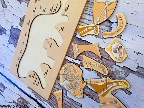 184991857_800073980630050_3594720743782228102_n