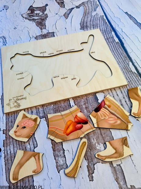 185410771_394593821988161_300824926236131413_n