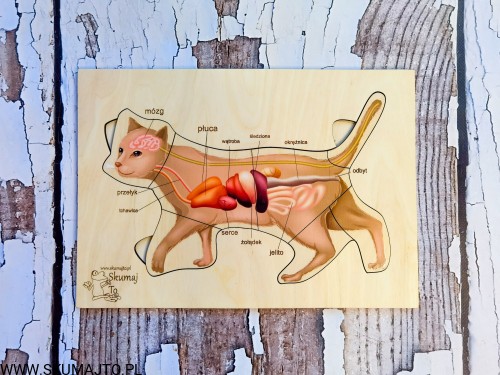 184574193_1233328993804684_40140705134302193_n