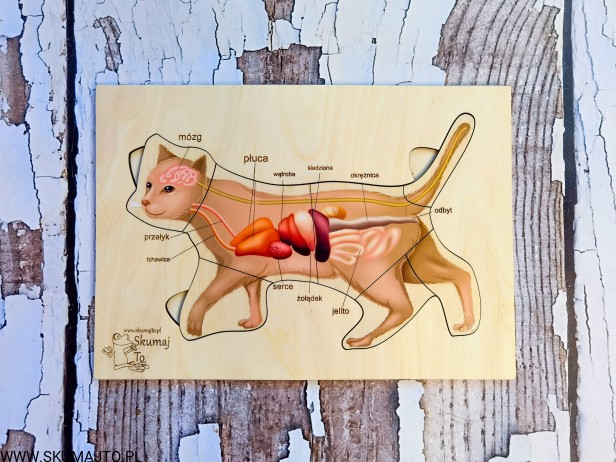 184574193_1233328993804684_40140705134302193_n