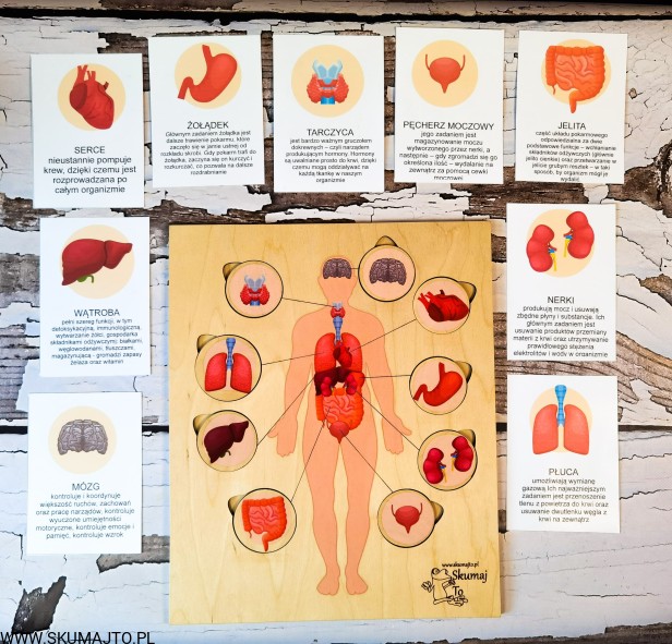 200649631_764746290878602_5845172078684773888_n