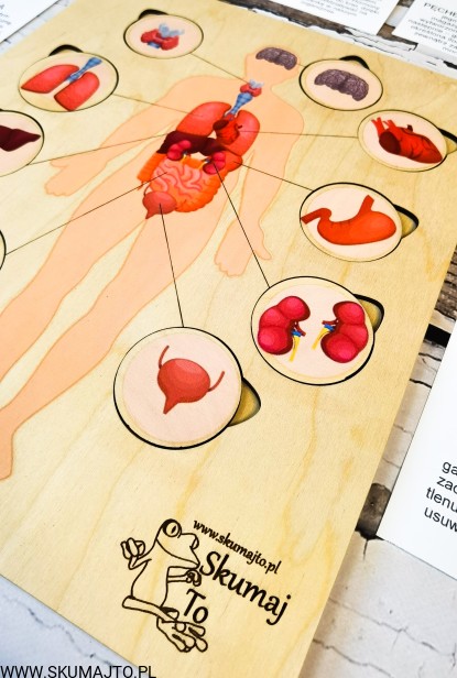 199371846_232697955021501_2777326062155944769_n