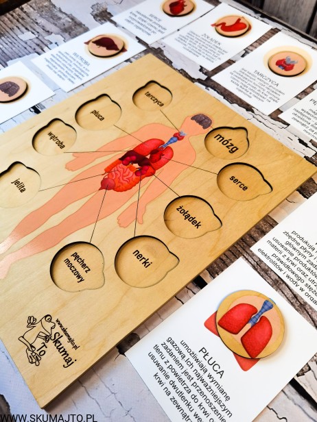 200640440_843858586231276_8190546919267012365_n
