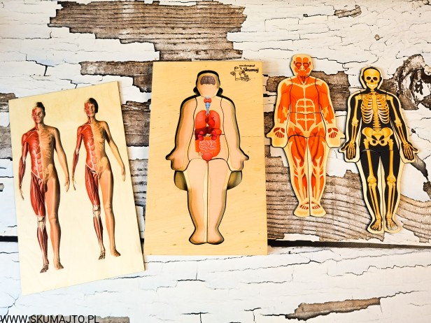 200155580_813488805939284_4818269113660189941_n