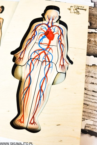 201134528_503315194123861_1346223079140368682_n