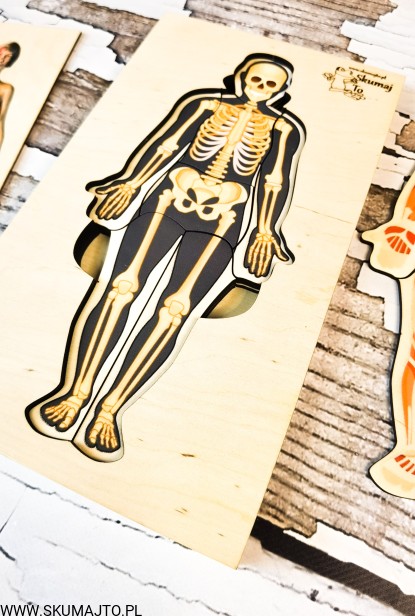 200277564_545057189994760_3666696477303493191_n