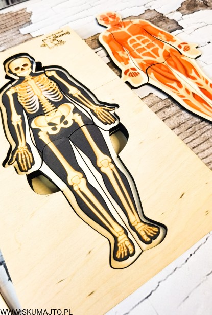 201310477_309827447452914_8539705525246572001_n